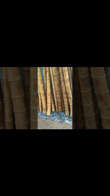 portão,porteira, de 2 lados #shorts