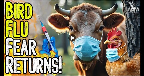 BIRD FLU FEAR RETURNS! - Calls For MASS Vaccination & Poisoning Of Meat Supply! - Prepare Yourself!