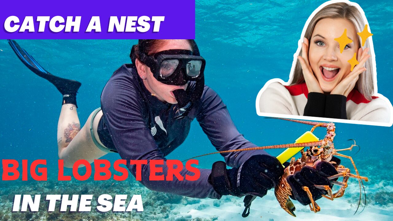 Exploring the Depths: Shrimp Hunting Beneath the Sea