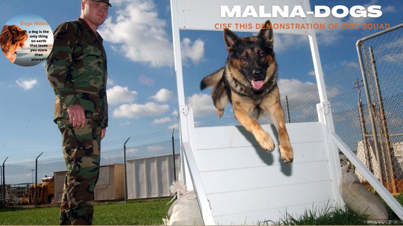 CISF this demonstration of Dog Squad