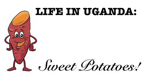 Life in Uganda: Sweet Potatoes!