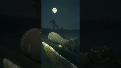 MOUFLON 💎 Night Diamond - theHunter: Call of the Wild #shorts