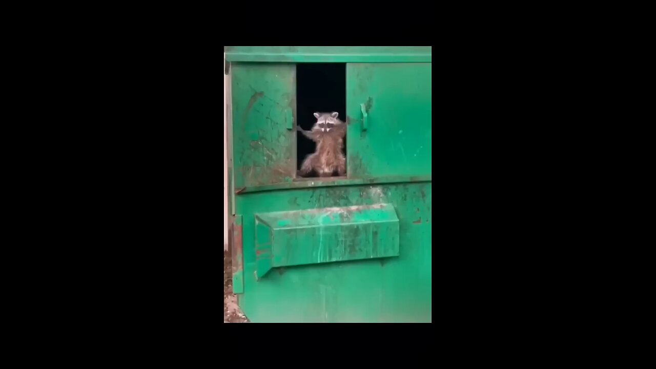 Funny Animal Videos 2022 Best Dogs And Cats Videos 😺😍 # 55.mp4