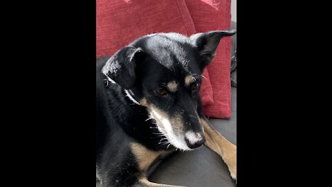 Music And Musings, Episode #167. It’s Thursday, July 15, 2021