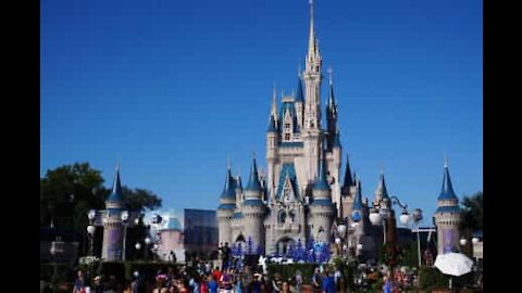 Pedido de casamento e anúncio de gravidez em plena Disney World