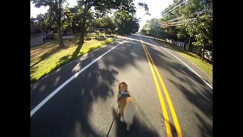 September 16th, 55º still in Southern NJ but it's a beautiful day.