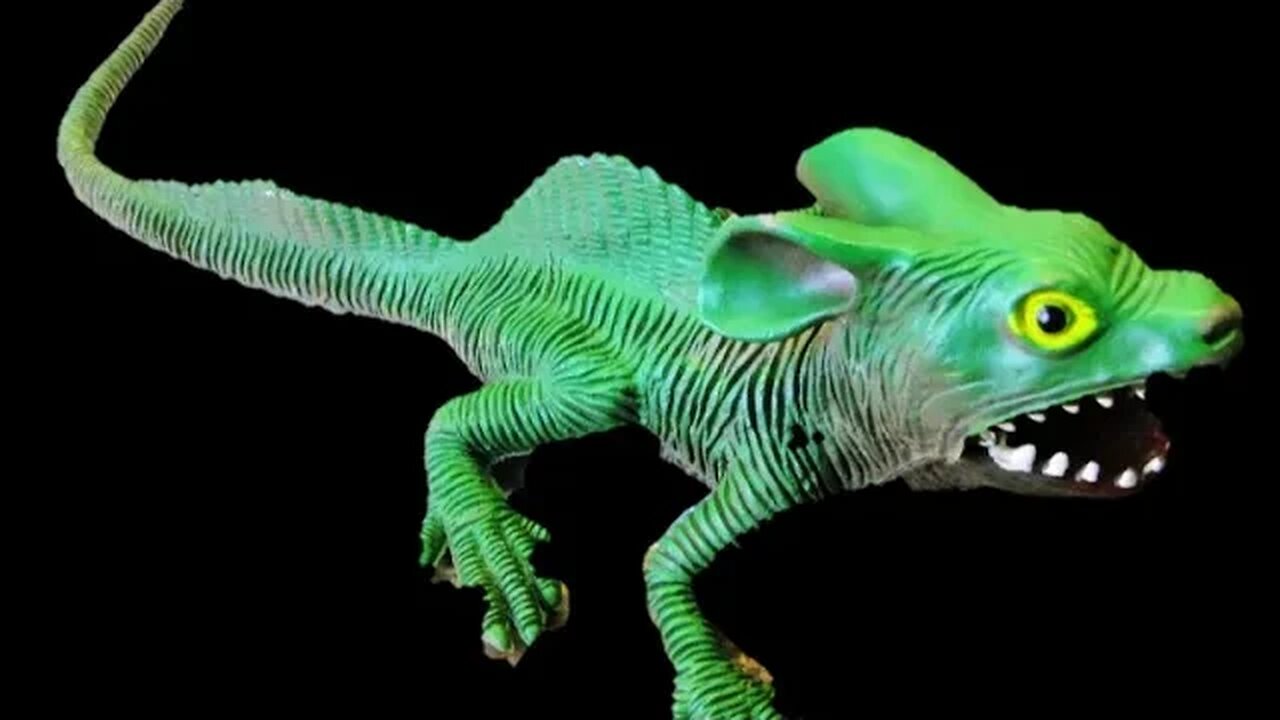 Movie time on ElfUnited Airlines