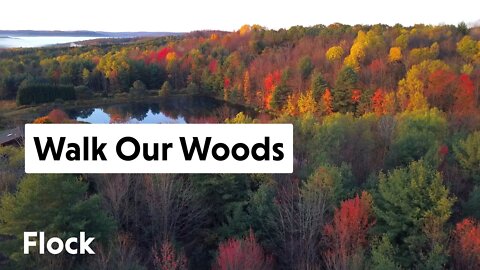 What Our WOODS Tell Us — Ep. 025