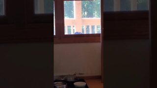 let me in!