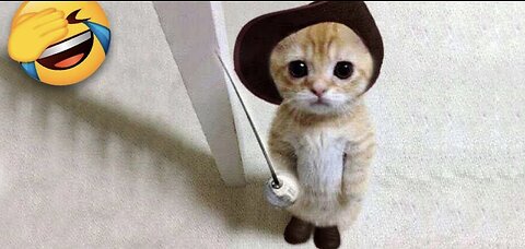 Funniest dogs and Cat memes and moments 🐶🐱