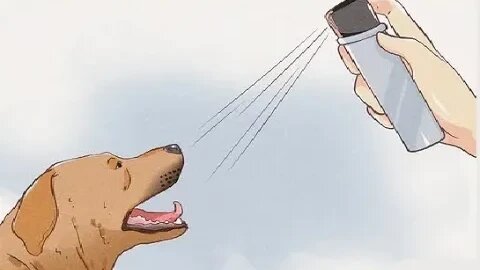 Testamos os Sprays Repelentes de Animais a Venda no Brasil, Qual é o melhor Spray Repelente de Cães?