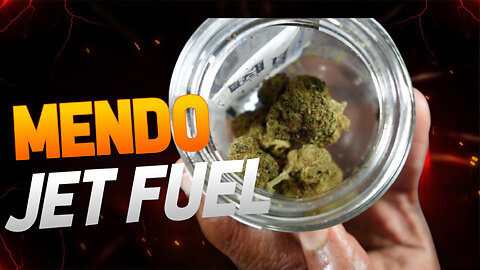 Mendo Madness Meets Jet Fuel Magic: Gelato Glow Up with JK Distro 🚀🍧🔥