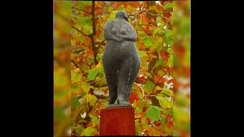 the journey - Harlingen - Friesland 1 november 2015