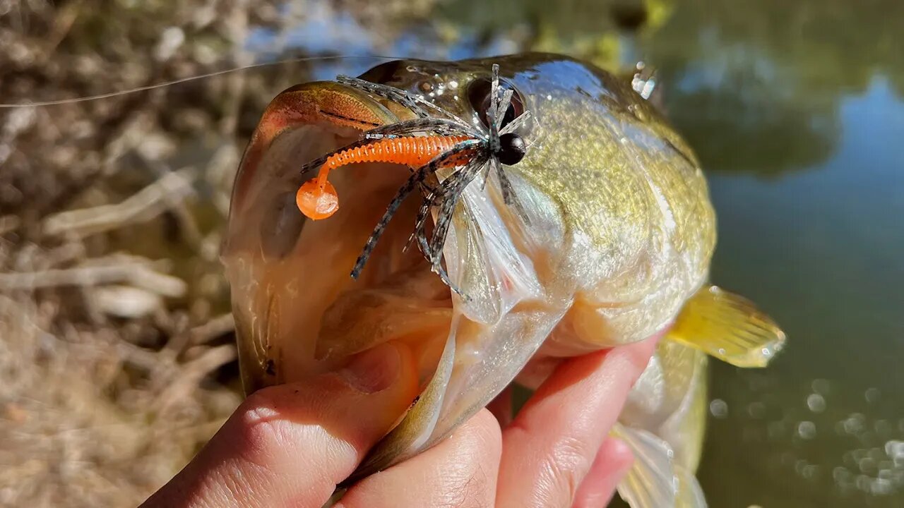 Fishing A Micro Spin Jig & 1.5" Rip Shad For Largemouth Bass