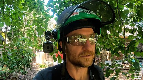 My Helmet Cam Malfunctioned - GRCS Rigging a Walnut