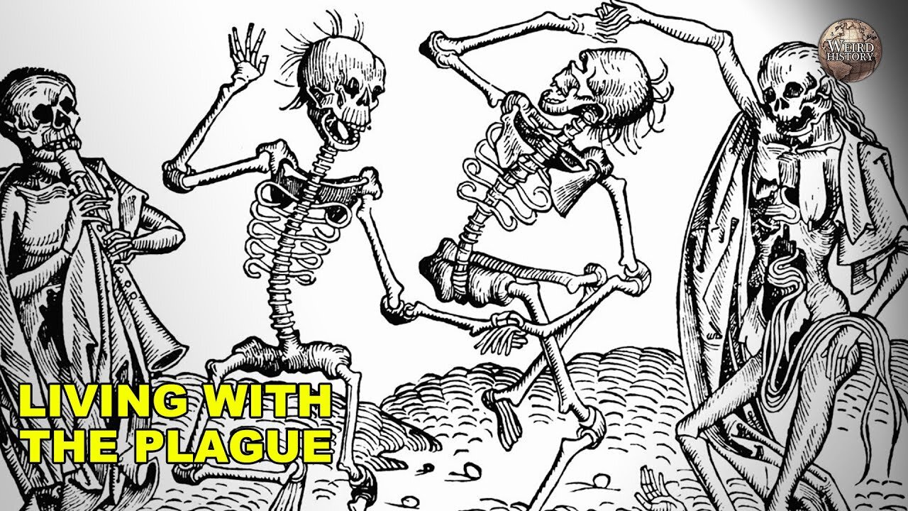 A Day In the Life Living With the Plague
