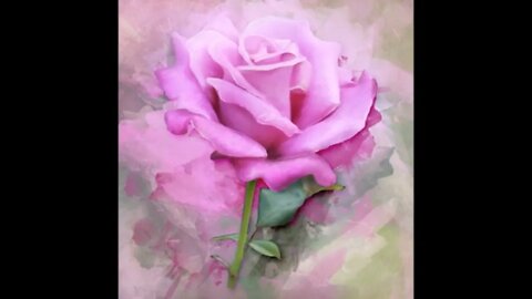 Meditation Moments 117