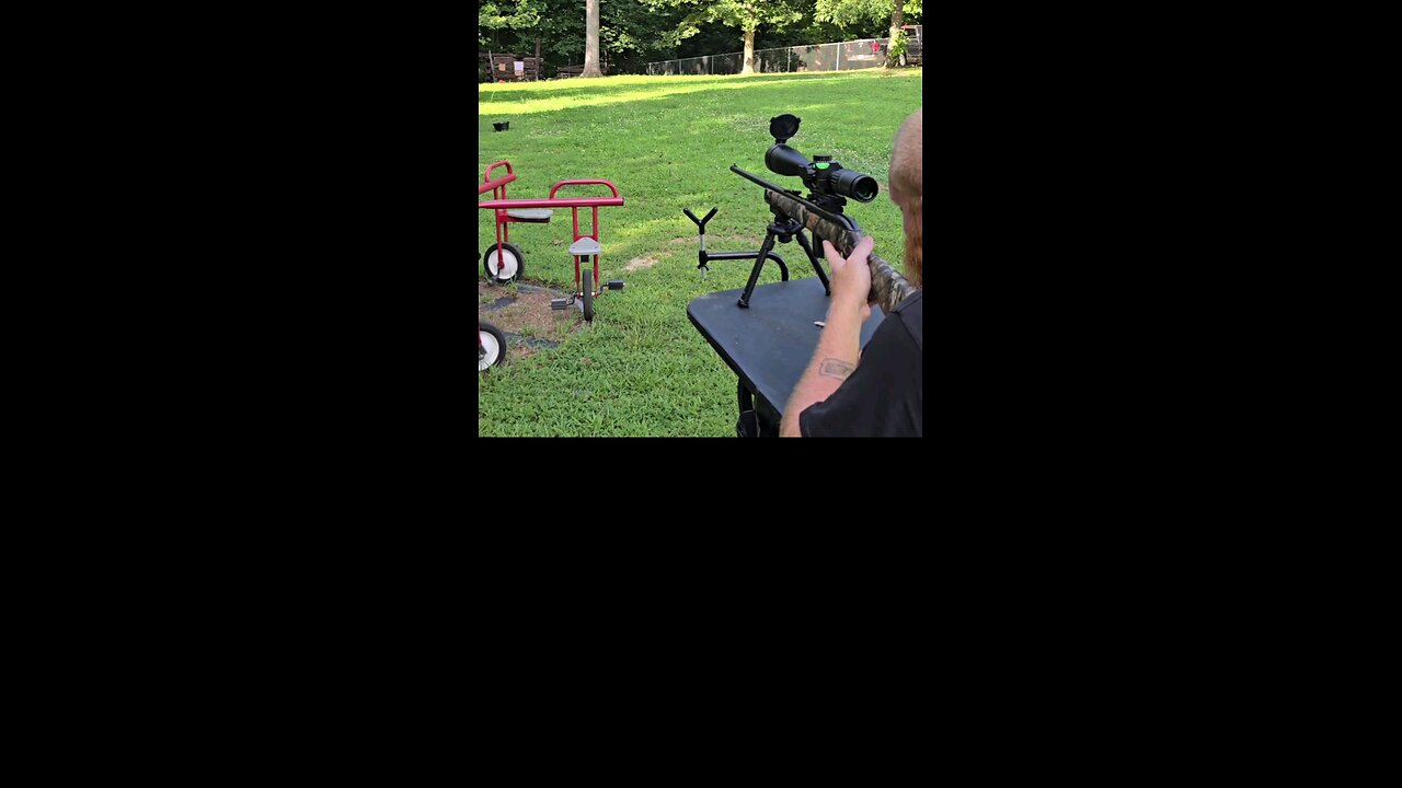 burris veracity on savage model 64