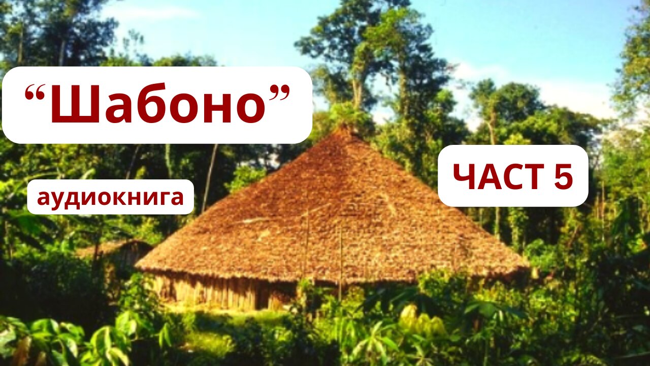 "Шабоно" ПЕТА ЧАСТ / Флоринда Донер / аудиокнига