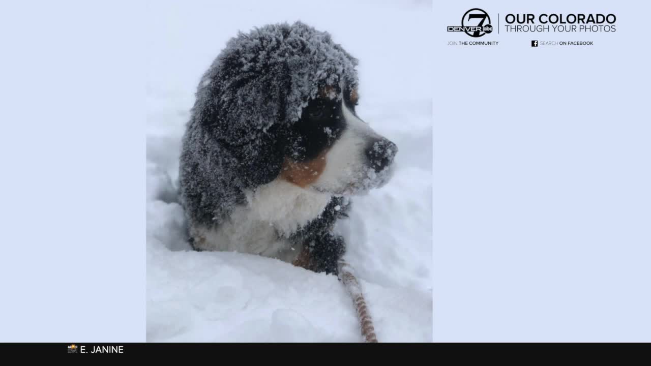 Our beautiful snowy Colorado through your photos