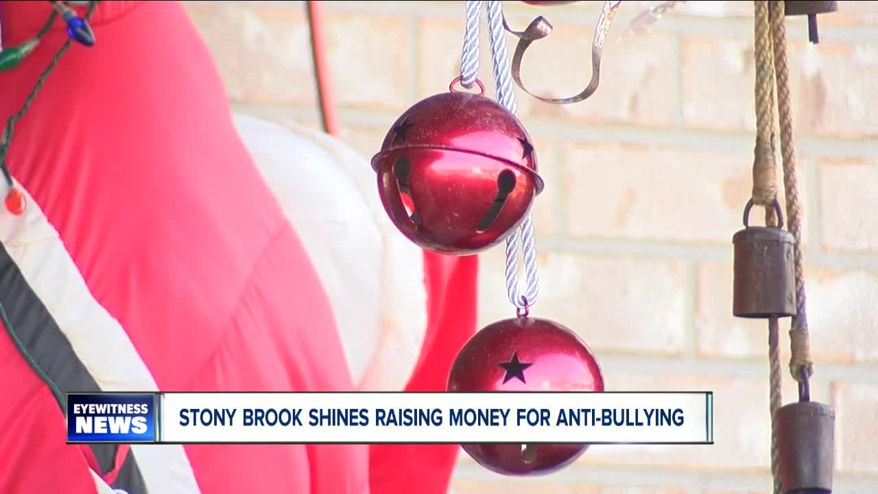 How this holiday spectacle is raising money for charity
