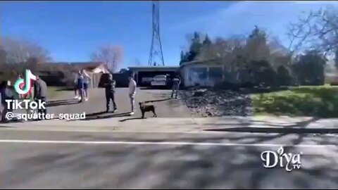 A squatter has been granted a restraining order AGAINST the landlord by a Washington State Judge.