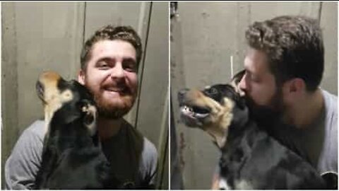 Ce chien n'aime pas les câlins