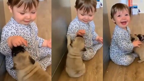 A Little kid 😁😂🧒 playing with little pups 🐶🐕🐾🥺