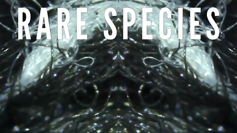 Rare Species - The Breeze amongst the Calamites