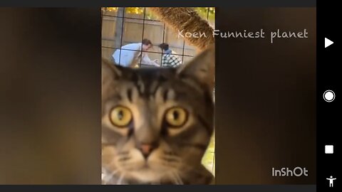 Fun with lovely animals
