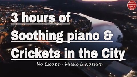 Soothing music with piano and crickets sound for 3 hours, relaxation music for sleep & insomnia