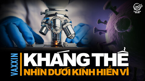 Kháng Thể VAC Dưới Kính Hiển Vi Tiêu Chuẩn. #Video05