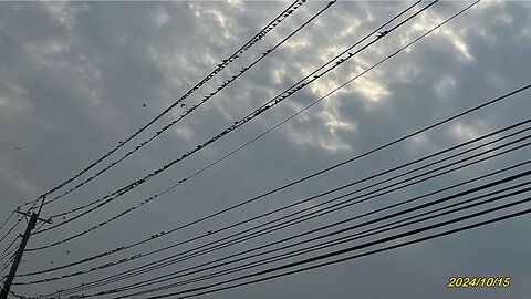 24_1015 賈慧 北岸路-夏田