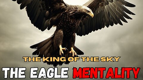The Eagle Mentality: 7 Powerful Lessons You Need to Know | MotivaRise