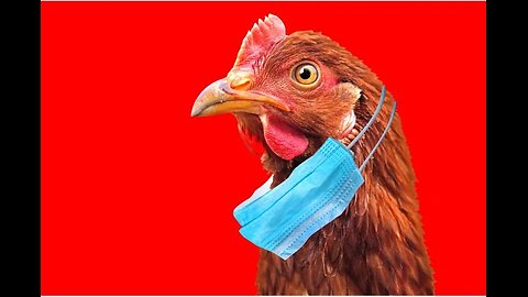 Bird Flu Summit 2024, Cohorts & Plandemic Hoax (Fairfax Virginia)