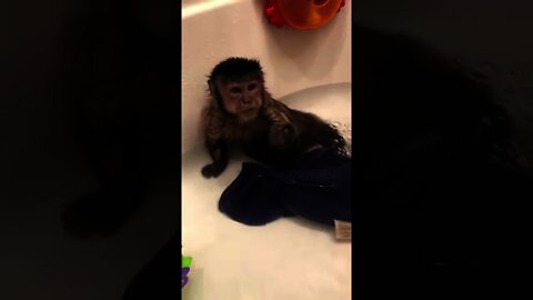 Had my bath and I’m ready for bed!!! Night night friends ❤️🐒