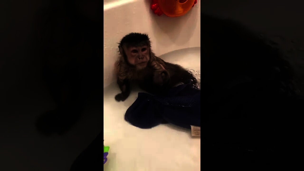 Had my bath and I’m ready for bed!!! Night night friends ❤️🐒