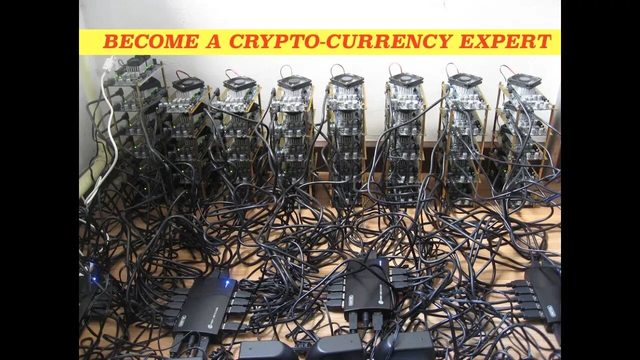 Will Bitcoin become the Gold Standard in Electronic Currency? We ask the Experts