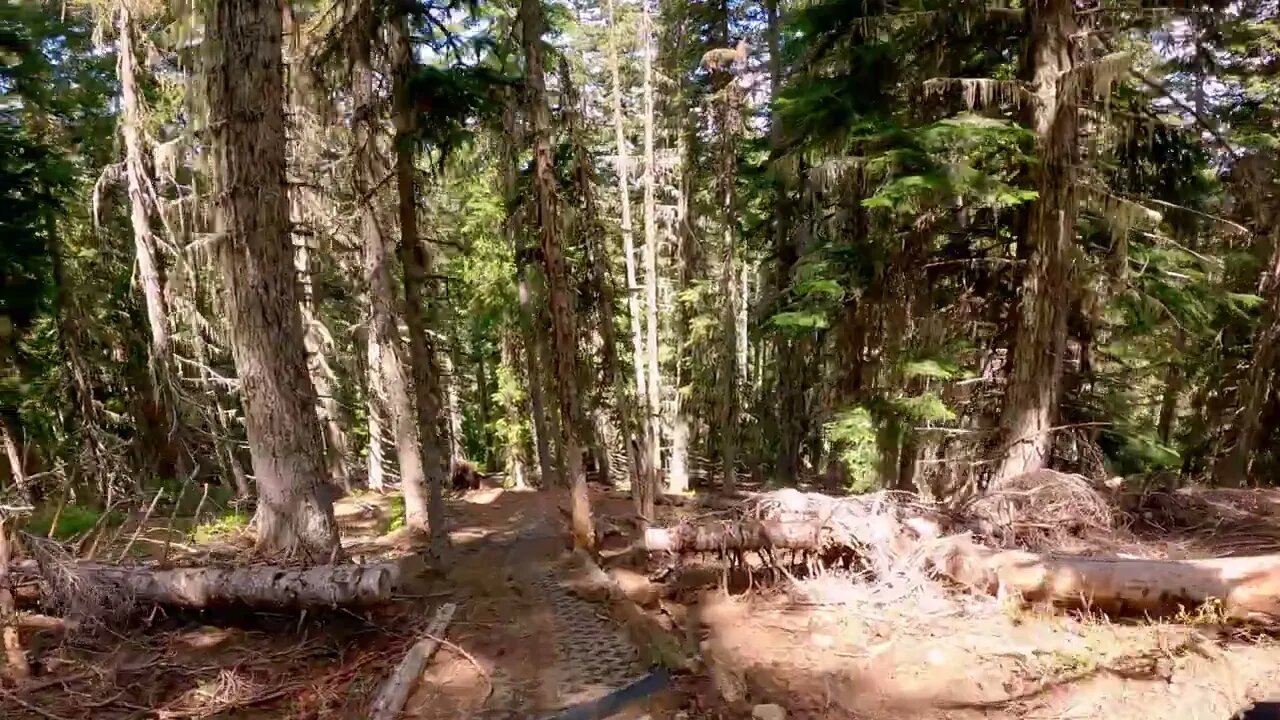 How I see it. South Fork