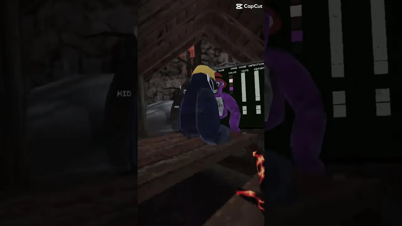 Idk gorilla tag #shorts #gorillatag #gtag #vr #oculus #gorillatagfunny #oculusquest #oculusquest2