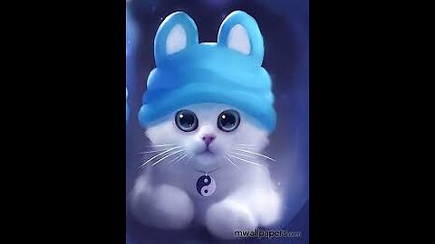 Most beautiful cat in the world
