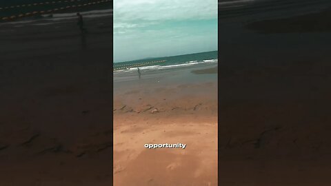 Do You See The Opportunity?!