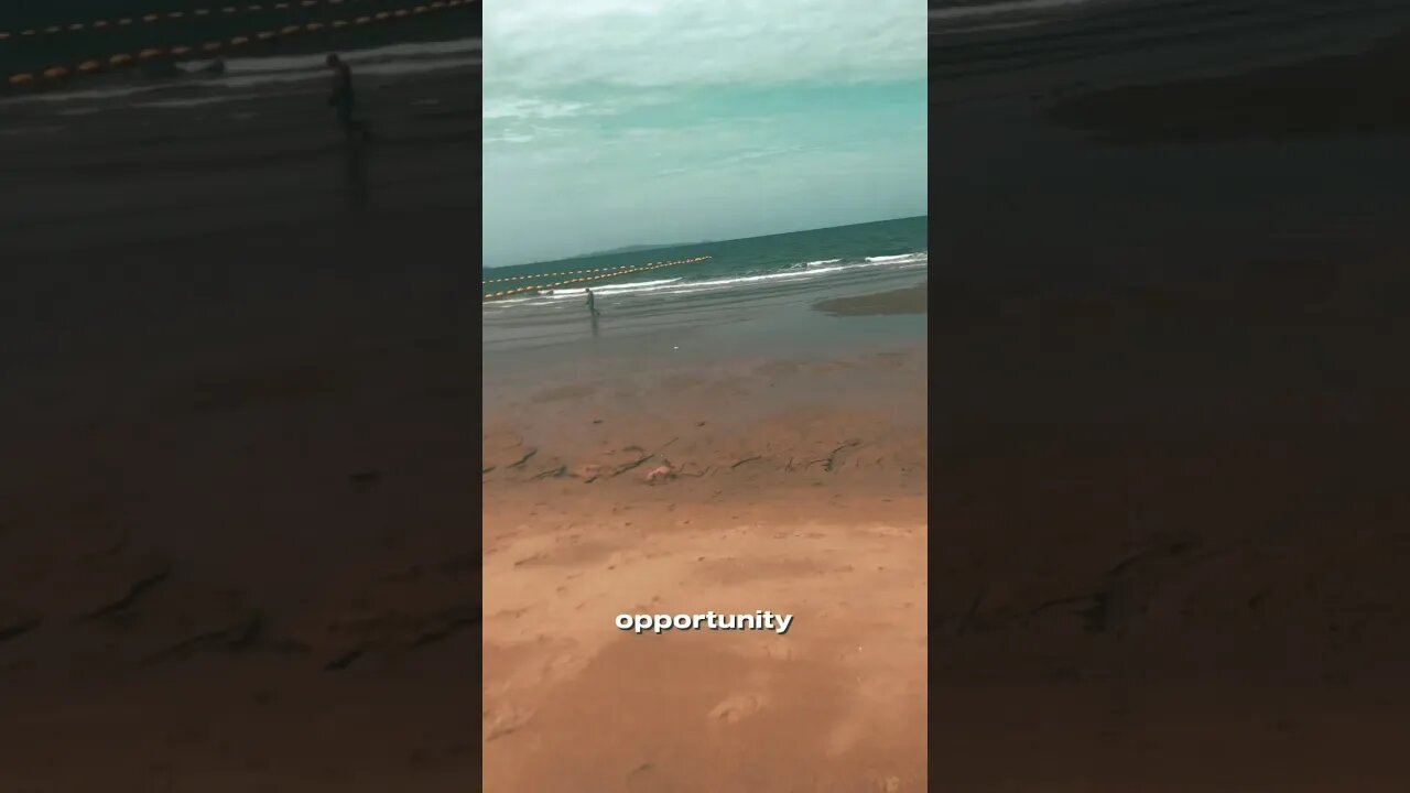 Do You See The Opportunity?!