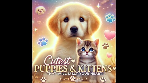 Cutest Puppies and Kittens That Will Melt Your Heart!