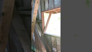 Inside a covered bridge in Indiana