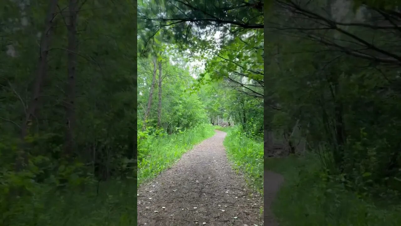 Life is Too Short for Bad Energy 🧘‍♂️