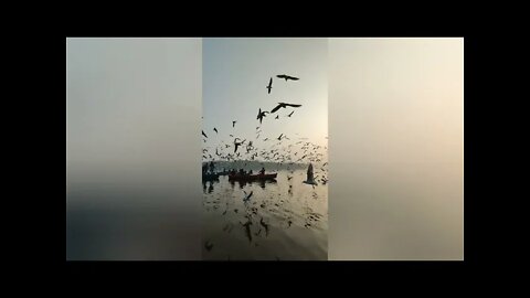 Relaxing Music