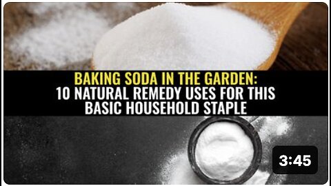 'Baking soda' in the garden: 10 Natural remedy uses for this basic household staple