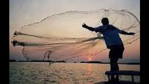 Fish fish fish 🐠🐋🐟