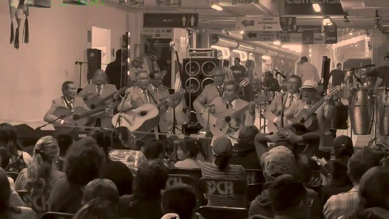 Piel Canela at Mercado La Cruz, Queretaro, Mexico (Dec 2022)